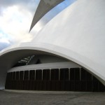 White in the Canary Islands