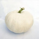 Photography: The White Pumpkin