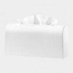 20 Below: Tunell Tissue Box