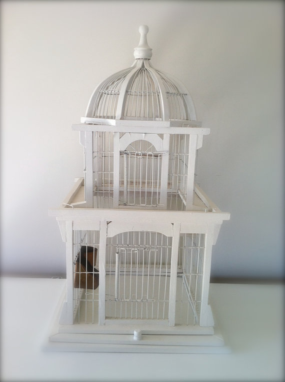 white bird cage