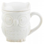 20 Below: Owl Mug