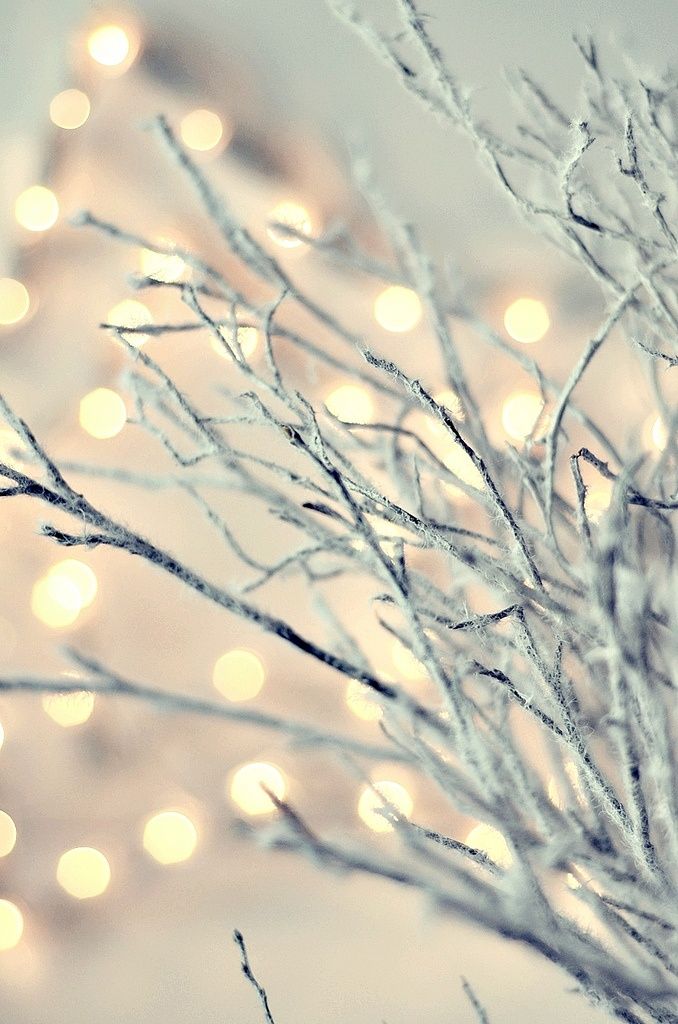 white-lights-tree
