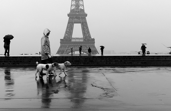woman-dogs-Eiffel-Tower-Lauren-Scheinfeld