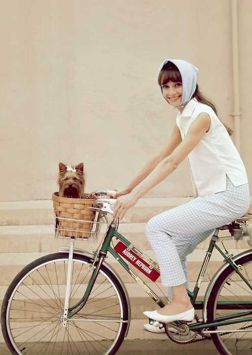 Audrey-Hepburn-bicycle