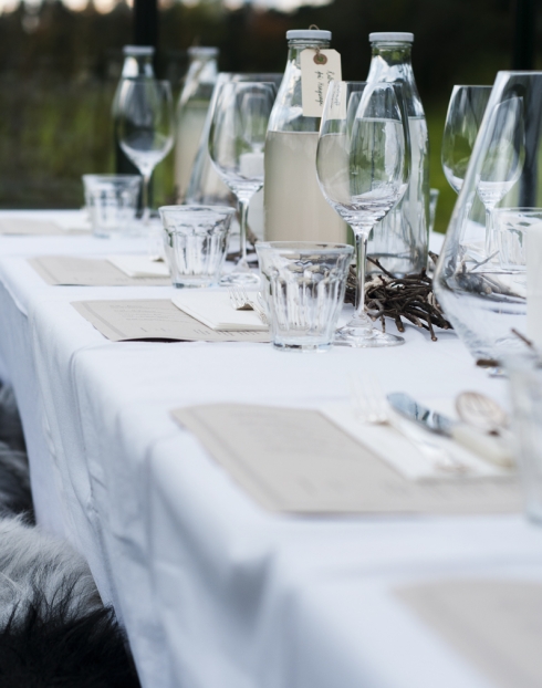 Aakermiddag_1306_490_622_s_c1