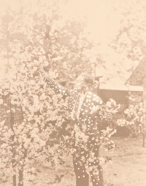 Theystillbloom-Amy Friend-Citizen Atelier