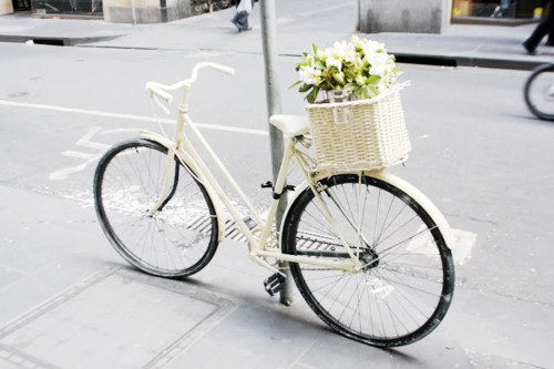 bicycle-photography-pretty-vintage-white-Favim.com-91981