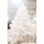 Christmas: White Trees