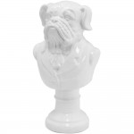 20 Below: Dog Bust