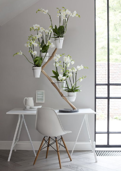 droomhome_orchidee_etagere_orchid_twister_francois_hannes_wit_plant_potten