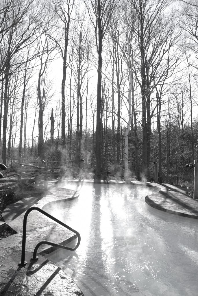 forest baths winter