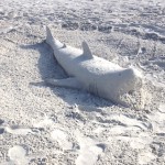 Art: Building a Sand Animal