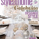 20 Below: Style at Home November Issue