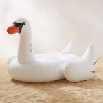 Marketplace: Swimming Swans
