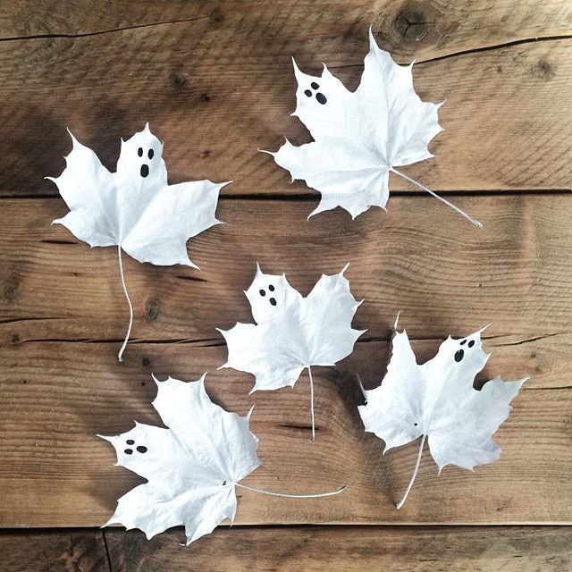 ghost-leaves