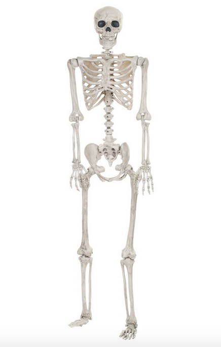 posable-skeleton-target