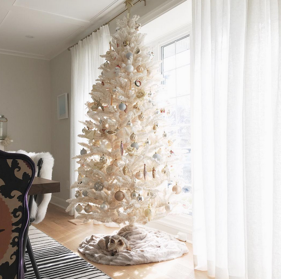 cat-therrien-white-christmas-tree