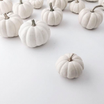 The Friday Five: White Pumpkins