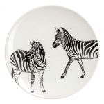 Two for Tuesday: Zebra, Zebra